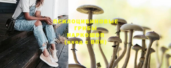 гидра Абдулино