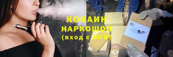 шишки Алзамай