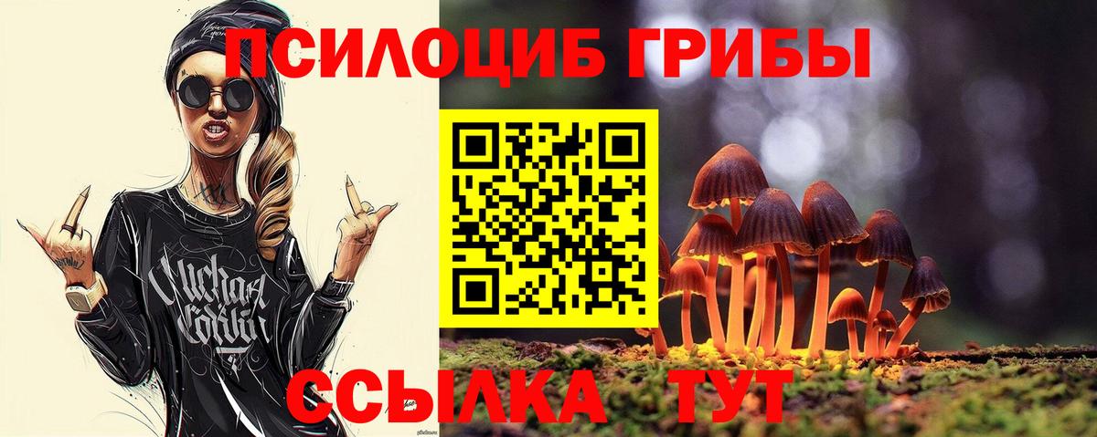 Псилоцибиновые грибы Psilocybine cubensis Курчатов